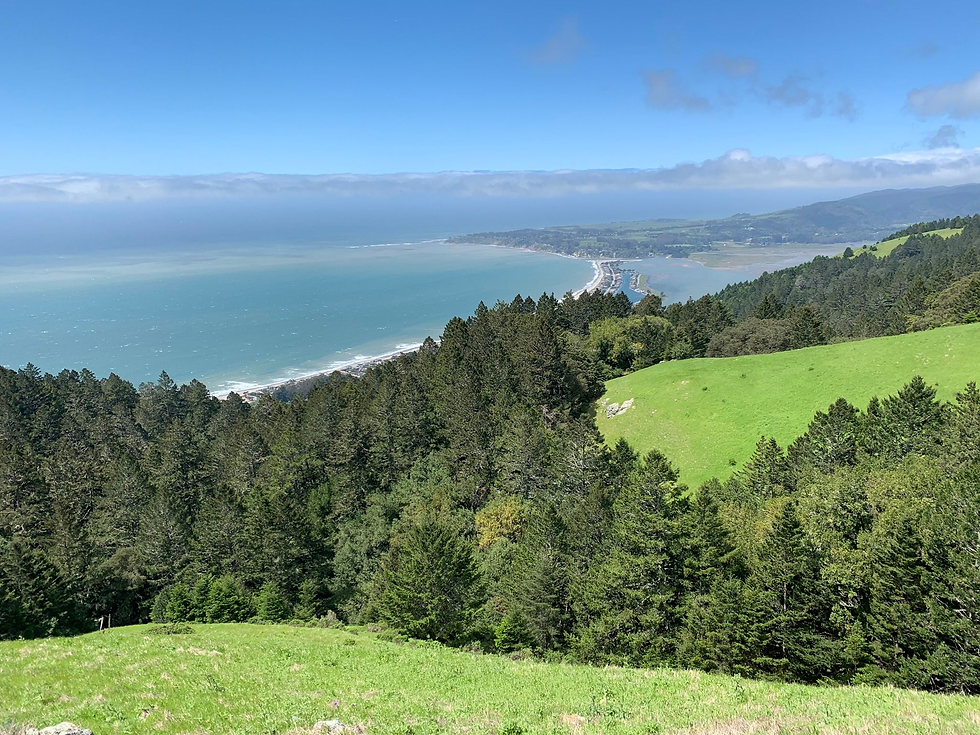 Hike in Mt. Tamalpais, one of the best spot of the bay area