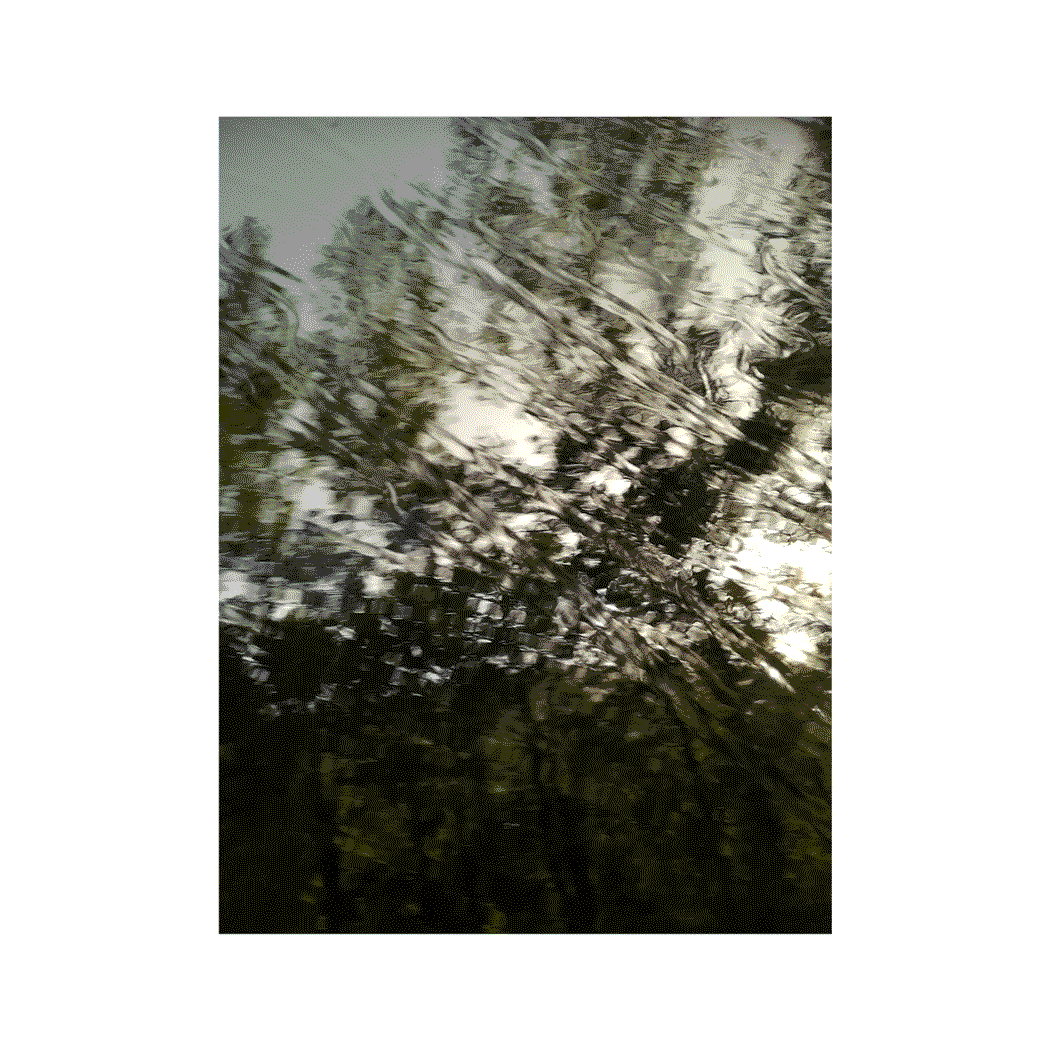branche.gif