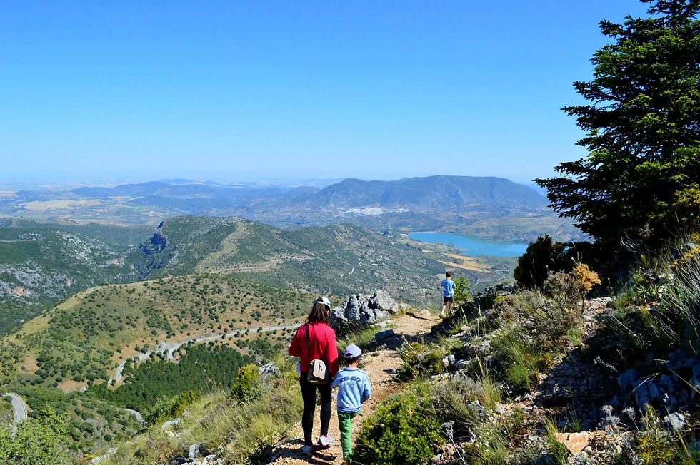 Sierra_de_GrazalemaĀ