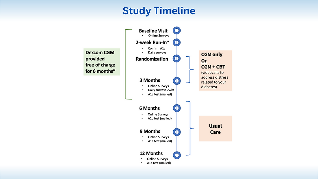 Study Timeline .png