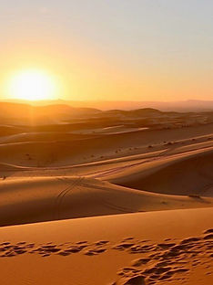 WhatsApp Image 2025-12-10 at 10.50.17 AM.jpeg