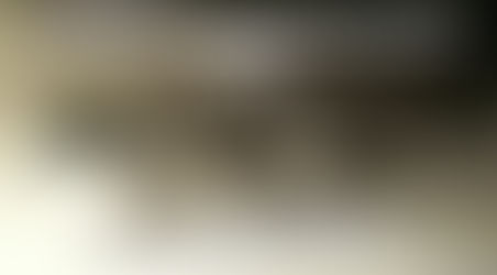 Rembrandt and Arya successfully mated