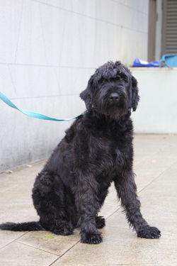 Photo from Jacob Yeoh