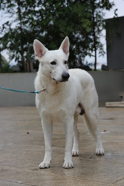 Photo from Jacob Yeoh