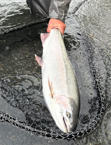 fly fishing guide, guided fly fishing, fishing Alaska 