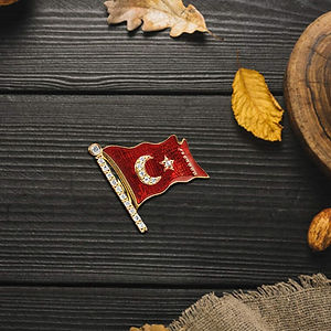 AY YILDIZ ROZET.jpeg