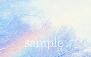 2虹森_edited.jpg