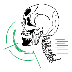 Omurga iconları-03.png