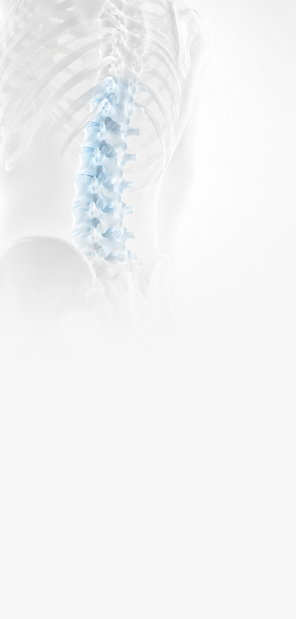 thoracolumbar.png