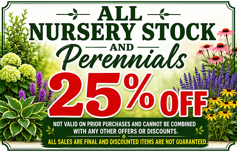 25%offnursery.png