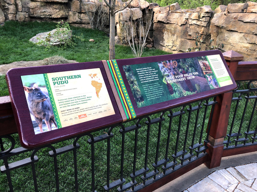 bear_pudu_readerrail-e1525979234715.jpeg
