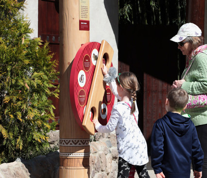 bear_guineapig_wheel_2-e1525980776367.jpeg