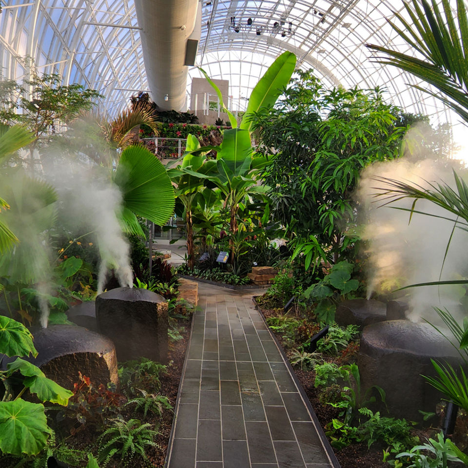 Alternate view of the mist-filled tropical greenhouse walkway, showing vibrant greenery and the structure’s high ceiling.