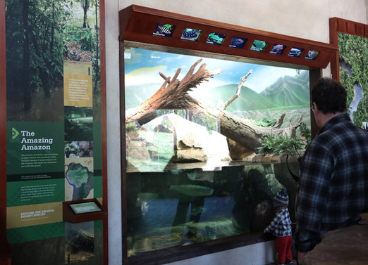 bear_tankviewing-e1525979149195.jpeg