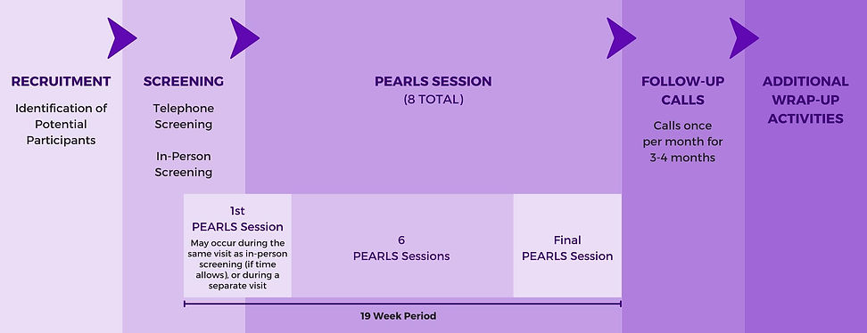 PEARLS Session Graphic.jpg