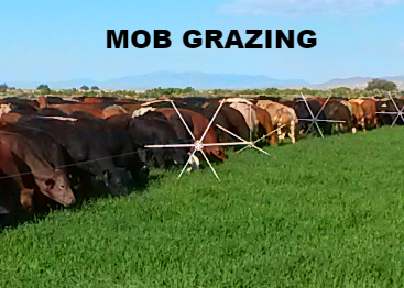 20150607_082931_edited_edited_edited