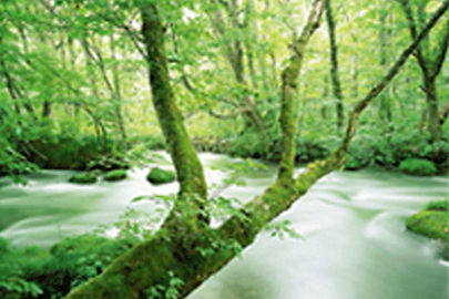 むらかみ眼科クリニック