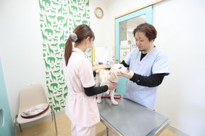 診察室