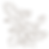 23053862.png