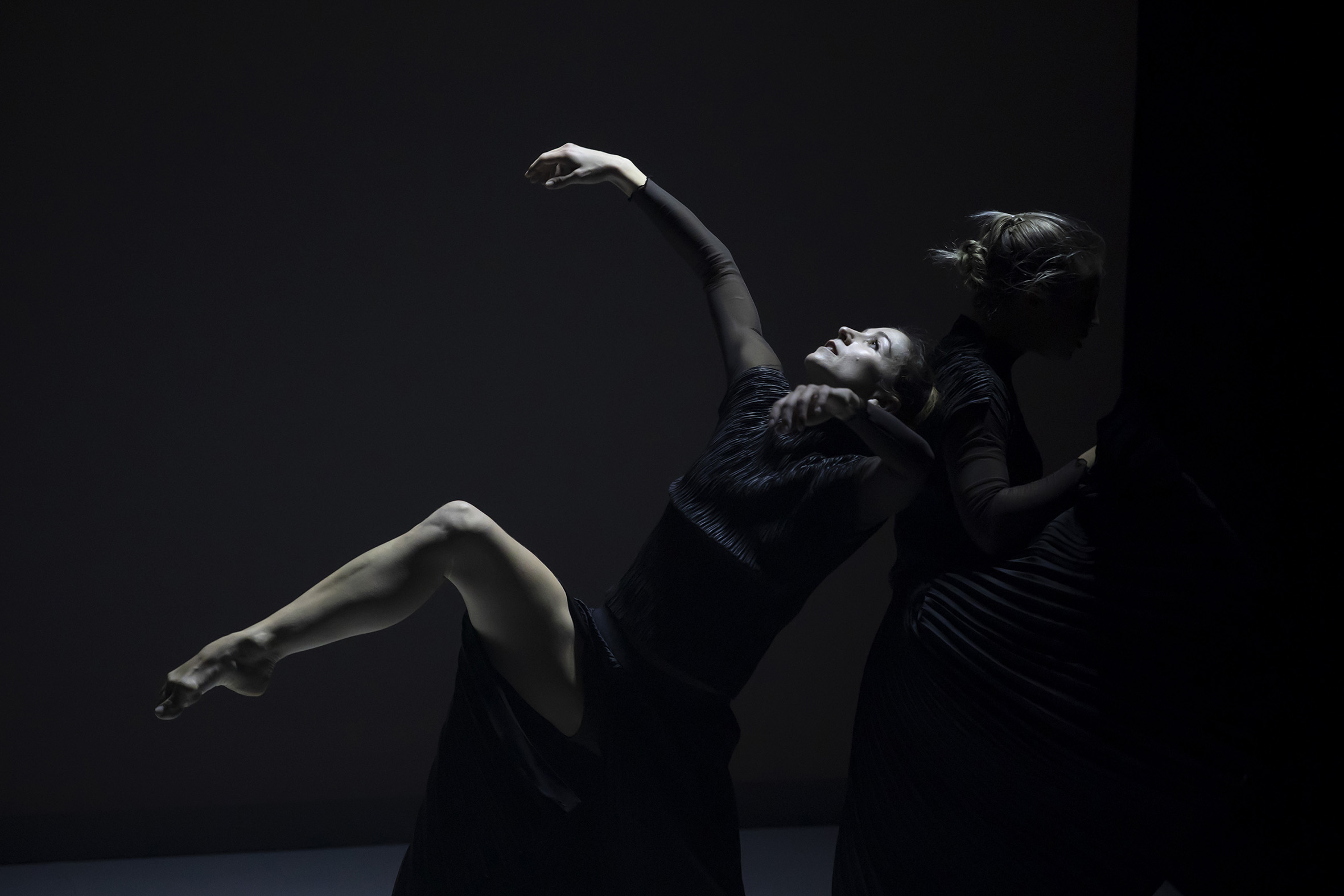 La Danse Studio — foto oficial de la escuela
