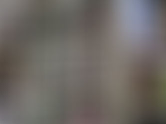 Se inaugura exposición fotográfica del Carnaval de Tlaxcala 2025 