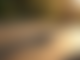 Wedding ring metal choices - the pros and cons!