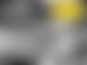 UMA DATA INESQUECÍVEL PARA A COMUNIDADE POMERANA DE SÃO LOURENÇO DO SUL E REGIÃO