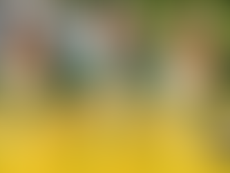 PROGRAMAÇÃO COMPLETA 19° FESTA MUNICIPAL DE ARROIO DO PADRE