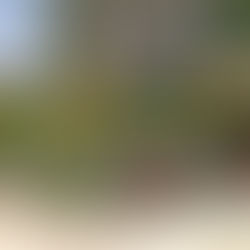 Basics III: Color