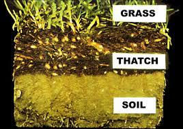 Best practices for lawn start up and minimizing future lawn problems (Part 1: Lawns)