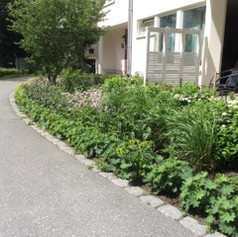 Bostadsgård Hässelby - Efter