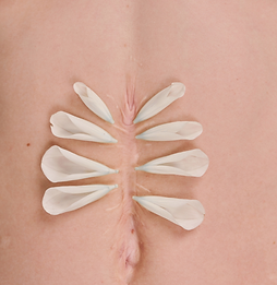 Design ohne Titel-19.png