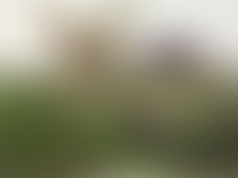 Yas Süreci Nedir? Kaybın ve Kabullenmenin Süreci