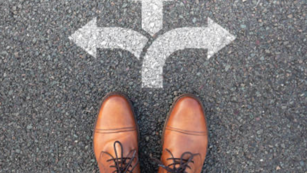 Seçim Süreci ve Yol Ayrımı