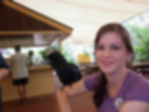 Sentient The Veterinary Institute for Animal Ethics