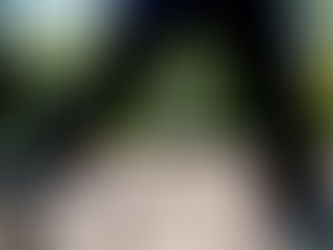 産まれてきたら、あの頃の話をしよう。みんなで。