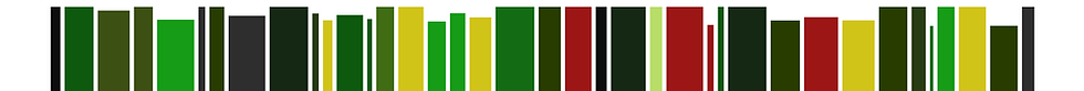 world-of-stripes-page-header.png