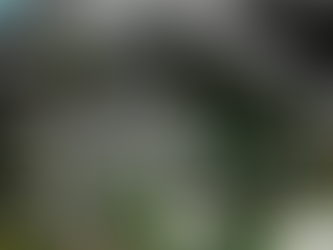 Edoardo Sanchi, Luca Scarzella | ALCINA