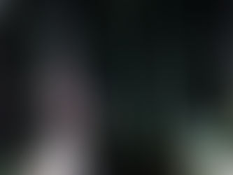 CLAUS GUTH | Don Giovanni