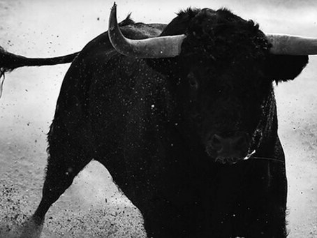 Etienne Pluss | Carmen