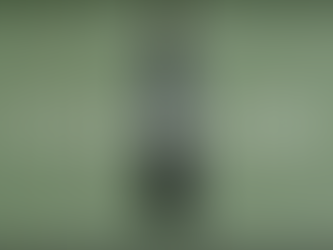 Etienne Pluss | On purge Bebé