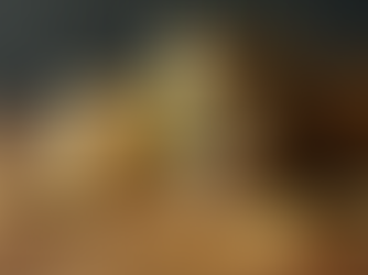 Cultivating Abundance Through the Bitcoin Economic Ecosystem and Personal Responsibility