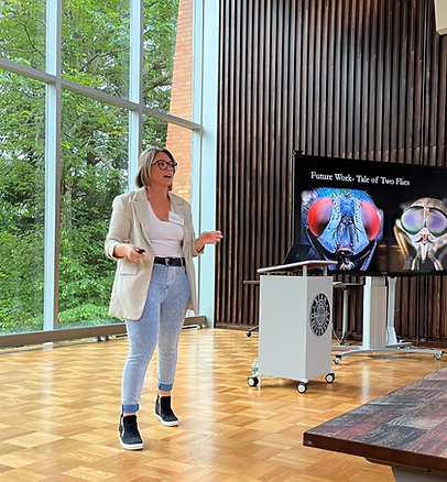 Presentation.png