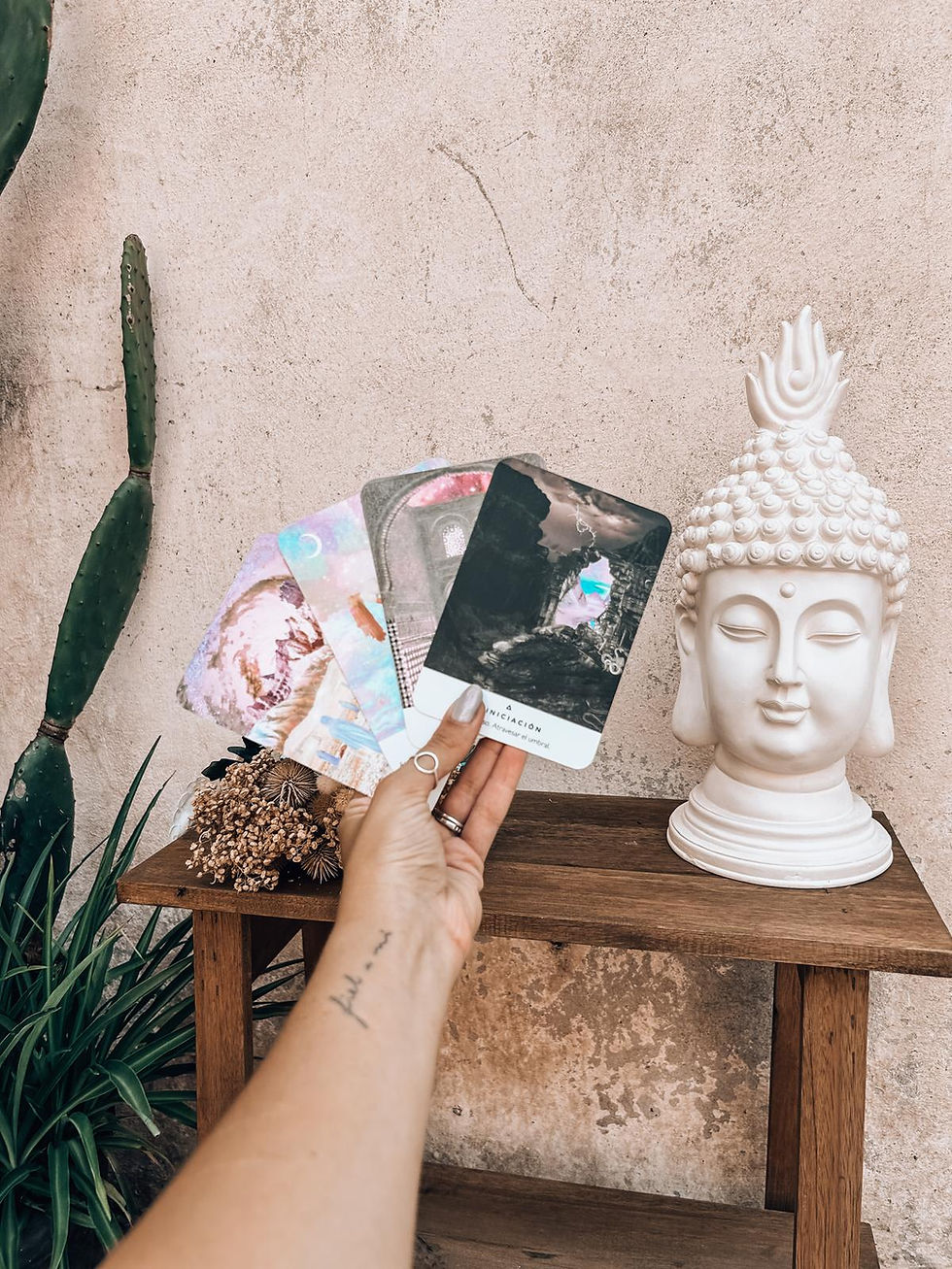 WhatsApp Image 2025-03-02 at 09.11.49 (7).jpeg