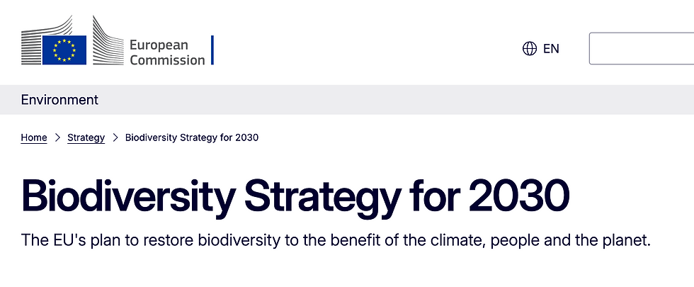 Screengrab from the EU Commission Official Website