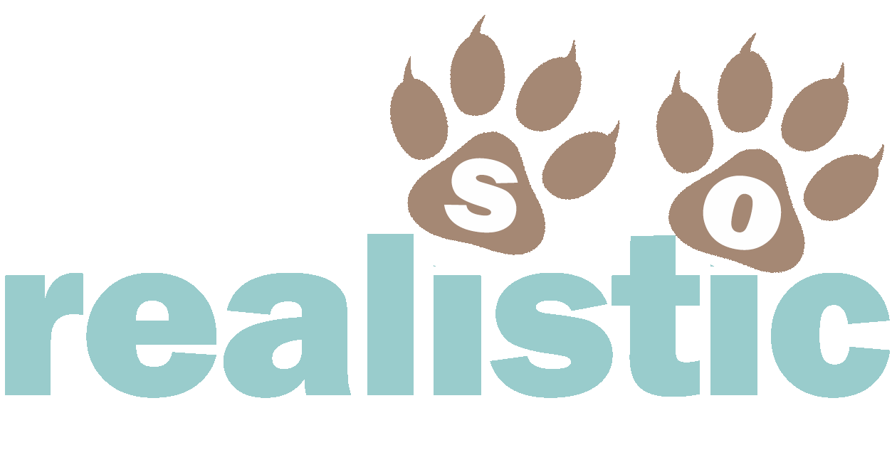 SoRealistic Logo