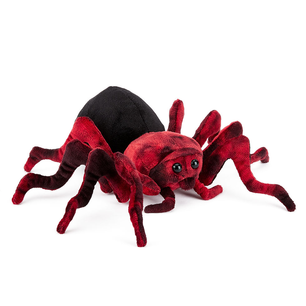 Realistic Spider Plush Soft Toy
