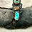 Thumbnail: DESPERADO ANTLER AND TURQUOISE RING size 8