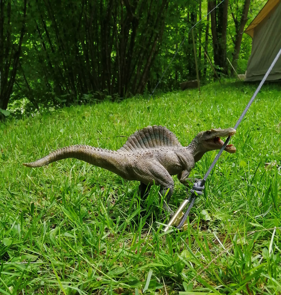 Die Natur in uns, oft mit Wildheit und Unangepasstheit verbunden - all das, was so krass seit hunderten von Jahren systematisch unterdrückt wird.