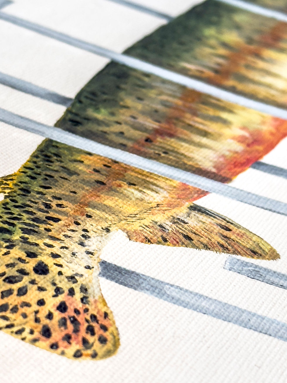 Thumbnail: "Long Strain Cutthroat Trout"